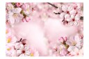 Fototapet Spring Cherry Blossom 150x105 - Artgeist sp. z o. o.