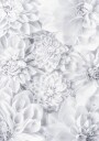 White Calm Flowers Plakat Plakat / 100x150cm