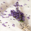 Volant Eterisk Olje Økologisk Lavendel 10ml