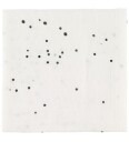Done by Deer™ Spit Towel 2-pack Dream y dots White