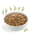 Edgard & Cooper™ Edgard & Cooper Dog Grain Free Lam (2.5 kg)