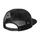 Carhartt Wip unisex Accessories Svart ONE SIZE,