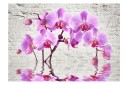 Fototapet Purple Delight 350x245 - Artgeist sp. z o. o.