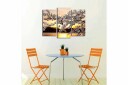 Canvasbilde 3 pk flerfarget 22x03 cm