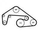 Kileremsett CONTITECH 6PK2460K1