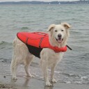 Ozami Flytevest Redningsvest til Hund - 54cmX50-80cm <36kg
