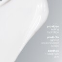 Dermalogica Skin Smoothing Ansiktskrem 100 ml - Fuktighetsgivende og Parabenfri