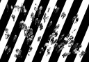 Find me... Plakat / 70x100cm