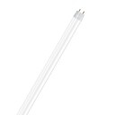 Ledvance Substitube Advanced T8 lysstoffrør 60 cm 7,3W 4000K