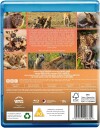 Kingdom Miniserie Bluray