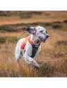 Non-Stop Dogwear Jaktdekken Protector Vest XS Oransje