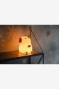 Star Trading   Nattlys Capybara Functional LED   Hvit