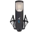 SE Electronics Rnt