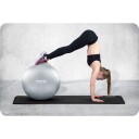 Treningsball 75 cm NS 952 Sølv