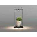 Artemide Curiosity 45 Focus Bordlampe Black/Brown