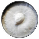 Golden Beards Shaving Cream Bergamot