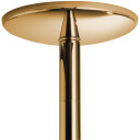 X-Pole Xpert Titanium Gullstang 4,5 cm Gold
