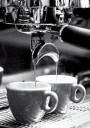 Coffee Espresso Perfection Plakat Plakat / 40x50cm
