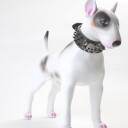Nagle Og Hodeskalle Halsbånd Til Hund