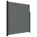  Uttrekkbar sidemarkise antrasitt 220x300 cm 4004383