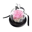 Liten Rose i Glasskuppel - Rosa