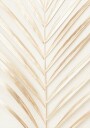 Golden Palm Leaf Poster Plakat / 40x50cm