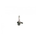 Innsprøytningsdyse BOSCH 0 445 110 800