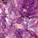 Brillbird Norge MN Cocktail Flakes   Empress