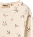 Wheat Body I/e   Ull   Lucca   Eggeskallblomster   Wheat   1 år (80)   Langermet Body   Hvit