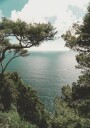 View of the Mediterranean Plakat Plakat / 50x70cm