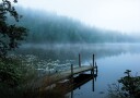 Moody morning Plakat / 70x100cm