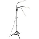 Airam Palm 24W/840 1130 LM svart