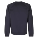Carhartt Wip Herre Gensere & Hettegensere Blå L,