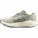 Salomon Aero Blaze 3 GRVL Herre Tea/Vanilla Ice/Deep Lichen 44