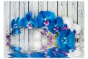 Fototapet Cobaltic Orchid 250x175 - Artgeist sp. z o. o.