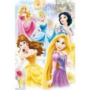 Disney Prinsesser Plakat - 91,5 x 61 cm