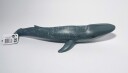 Collecta Blue Whale
