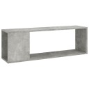 vidaXL TV-benk betonggrå 100x24x32 cm sponplate