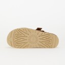 Goldenstar Glide W Chestnut (8)