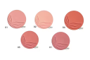 puroBIO Blush Powder 5,2g REFILL 01 blush