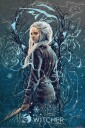 The Witcher Plakat Ciri The Swallow - 91,5 x 61 cm