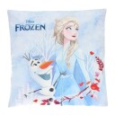 Mister License Cushion   Multi/patterned   ONE SIZE