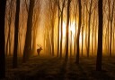 Once Upon a Time Poster Plakat / 70x100cm
