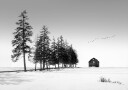 A Sunny Winter Day Plakat Plakat / 100x150cm