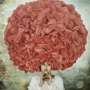 Crimson Petal Dream Plakat / 30x30