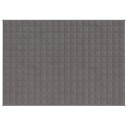 Vidaxl Vektdyne grå 150x200 cm 11 kg stoff