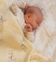 That"s Mine Jana Muslin Swaddle Cream ONE SIZE