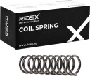 RIDEX 188C0534 Fjær