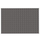 Vidaxl Vektdyne grå 122x183 cm 9 kg stoff