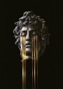 MDS Plakat / 30x40cm